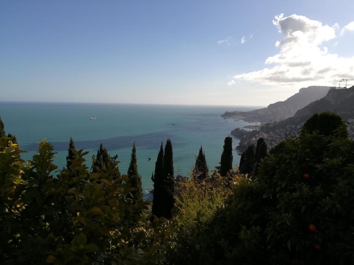 Monaco'S Cottage & Spa Roquebrune-Cap-Martin Exterior foto